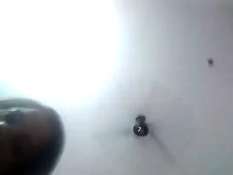 MEENA ROY online show from February 2025 02:27:02 PM