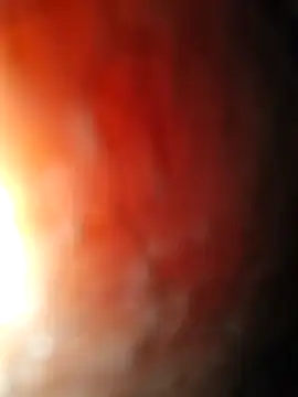 Lezoz  online show from January 2026 10:42:01 AM