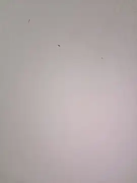 Snapshot of EmmaSulivan chatting on February 2026 11:11:02 AM EmmaSulivan online show from February 2026 11:11:02 AM