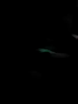 Snapshot of GoldenPastry20 chatting on February 2026 05:17:01 PM GoldenPastry20 online show from February 2026 05:17:01 PM