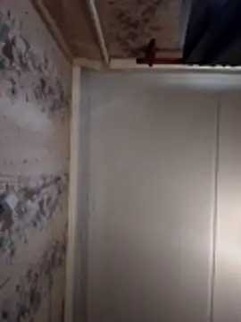 AliniX online show from March 2026 10:23:01 AM