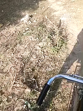 Snapshot of bairobunde chatting on February 2026 04:16:02 AM bairobunde online show from February 2026 04:16:02 AM