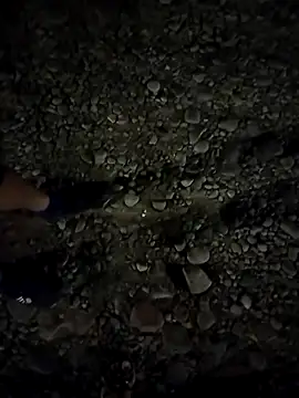 Snapshot of Kassie_Greys chatting on March 2025 03:33:01 AM Kassie Greys online show from March 2025 03:33:01 AM