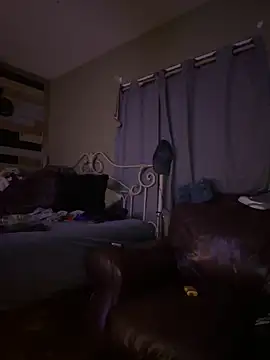 Polaroid White online show from March 2025 06:47:02 AM