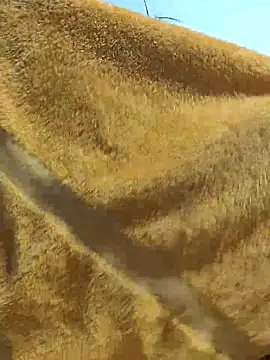 Tocameamor online show from February 2026 09:05:02 PM