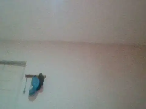 bafeng online show from July 2026 09:40:01 AM
