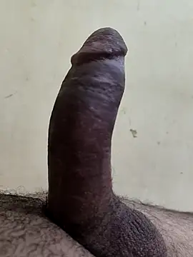 alkhabiir online show from November 2025 06:08:01 PM