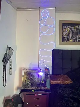 CRAZY-BOY99 online show from December 2025 11:20:01 PM