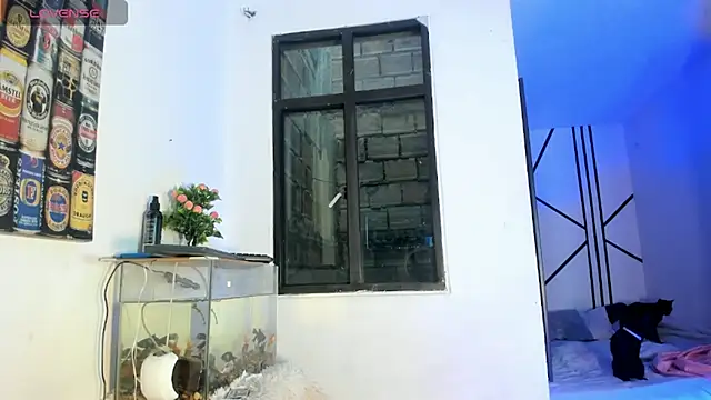 CRAZY-BOY99 online show from February 2026 11:37:01 AM