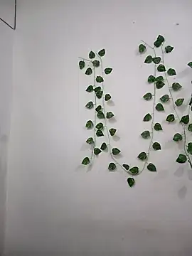 Neha-Bhabhi-Rasily online show from November 2025 03:12:01 PM