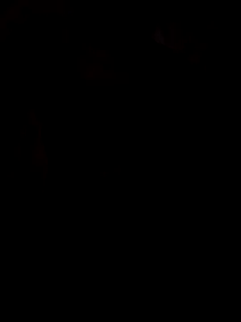 Snapshot of viviksmel chatting on October 2025 11:51:02 AM viviksmel online show from October 2025 11:51:02 AM