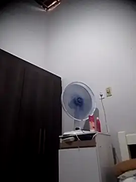 Snapshot of viviksmel chatting on February 2026 03:53:01 PM viviksmel online show from February 2026 03:53:01 PM