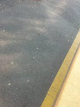 sohasenki online show from April 2026 02:03:02 PM