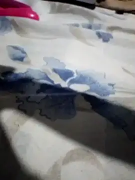 Sandra42 online show from November 2025 09:52:01 AM