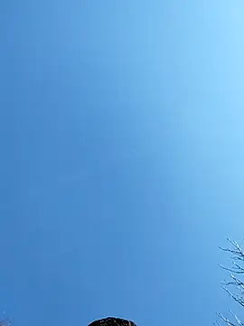 Anthopassif84 online show from March 2025 03:18:02 PM