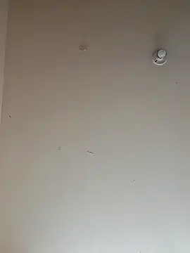 Snapshot of sara_crushx chatting on March 2025 03:18:02 PM sara crushx online show from March 2025 03:18:02 PM