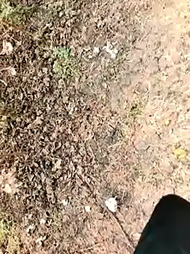 himvilohi08 online show from January 2026 06:16:01 AM