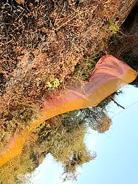 himvilohi08 online show from March 2026 12:44:01 PM