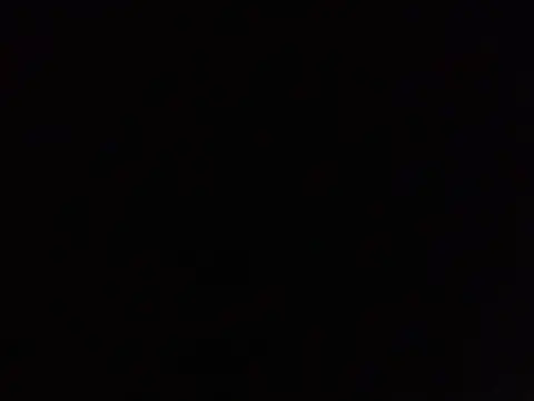 Snapshot of SavagesGN chatting on February 2026 08:58:01 PM SavagesGN online show from February 2026 08:58:01 PM