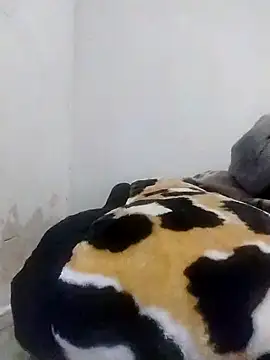 CertifiedSatisfier online show from October 2025 01:46:02 PM