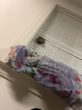 Snapshot of YAHIRALEJANDRIIIIII chatting on October 2025 06:54:02 AM YAHIRALEJANDRIIIIII online show from October 2025 06:54:02 AM