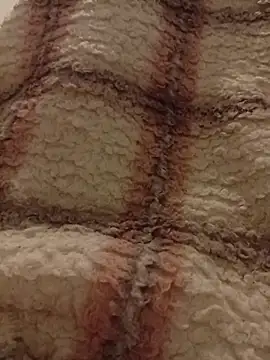 Bosniaae1 online show from November 2025 11:26:01 PM