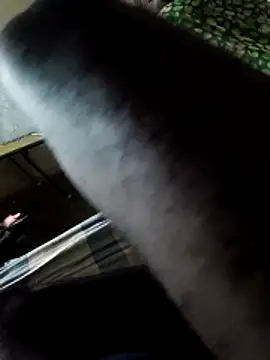 Snapshot of PolarFriend0 chatting on February 2026 04:37:02 PM PolarFriend0 online show from February 2026 04:37:02 PM