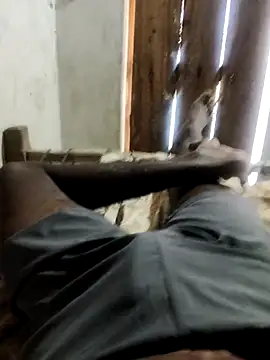 Snapshot of PolarFriend0 chatting on February 2026 07:54:02 AM PolarFriend0 online show from February 2026 07:54:02 AM