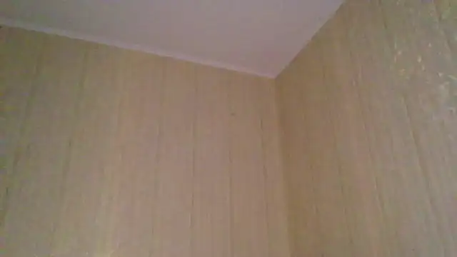  Black-Panther  online show from November 2025 02:06:02 PM