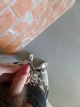 MaksDzubaV online show from March 2026 11:18:01 AM