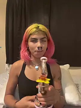 Harley cams online show from September 2025 12:43:02 AM