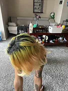 Harley cams online show from November 2025 08:47:01 PM