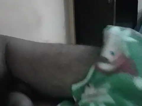 Snapshot of United95X chatting on September 2025 01:55:02 PM United95X online show from September 2025 01:55:02 PM