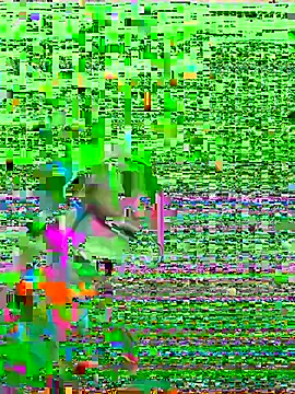 HenriquePhn online show from February 2026 03:00:02 AM