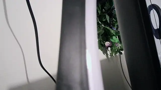 cherryboom23 online show from March 2026 07:18:02 PM