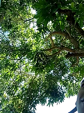 Snapshot of perversumm chatting on September 2025 04:19:02 PM perversumm online show from September 2025 04:19:02 PM