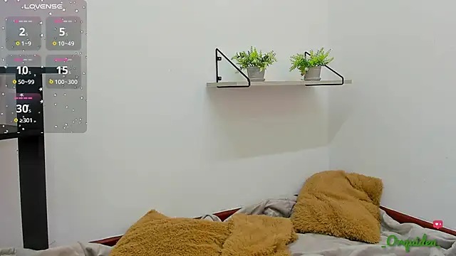  Orquidea  online show from November 2025 01:51:01 PM