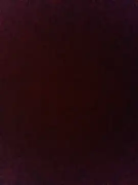 Snapshot of kalifa3210 chatting on June 2026 03:37:01 AM kalifa3210 online show from June 2026 03:37:01 AM