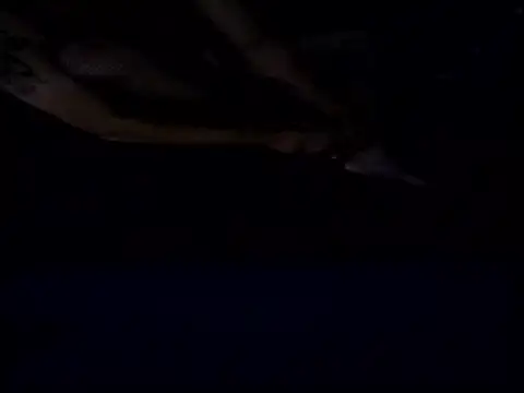 Crossedsissy online show from December 2025 05:34:01 AM