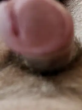 usedseller online show from April 2026 09:29:01 AM