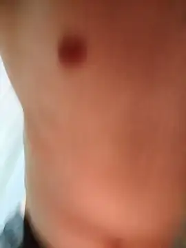 whitesouth online show from March 2026 12:22:02 AM