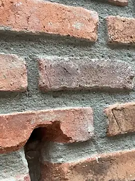 Jacksonfranco online show from February 2026 10:59:01 PM