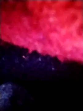 Snapshot of salimbasha chatting on September 2025 12:27:01 AM salimbasha online show from September 2025 12:27:01 AM