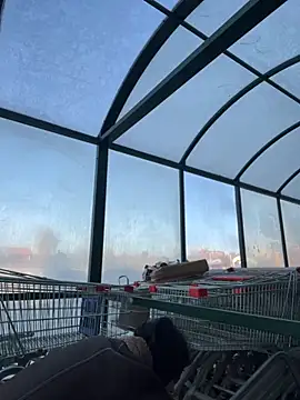 MiraReach online show from October 2025 04:34:01 AM