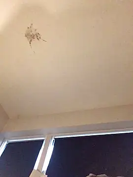 Snapshot of Sissy_Cindy_Whore chatting on November 2025 02:04:01 PM Sissy Cindy Whore online show from November 2025 02:04:01 PM