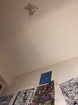 Snapshot of Sissy_Cindy_Whore chatting on February 2026 12:05:02 AM Sissy Cindy Whore online show from February 2026 12:05:02 AM