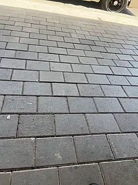 Snapshot of kamo012000 chatting on February 2026 10:09:02 AM kamo012000 online show from February 2026 10:09:02 AM