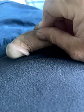 Snapshot of BobKat chatting on October 2025 07:50:02 AM BobKat online show from October 2025 07:50:02 AM