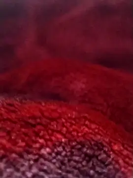 saneer69tew online show from February 2026 06:12:02 AM