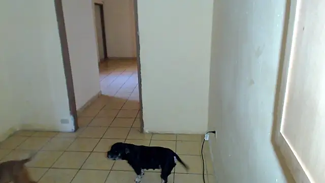 BlondZilla online show from February 2026 04:16:02 PM